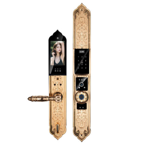 Khóa Vân Tay Tân Cổ Điển Cao Cấp Avolock AC-996F-G