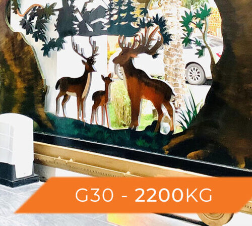 Cổng trượt lùa tự động KIT G30 Roger – Italia Cổng trượt lùa tự động KIT G30 Roger – Italia