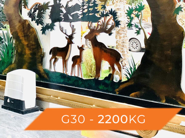 Cổng trượt lùa tự động KIT G30 Roger – Italia Cổng trượt lùa tự động KIT G30 Roger – Italia